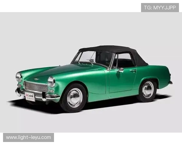 埃琳·安德森训练完顺手买了辆超跑，说油费比她的蛋白粉便宜